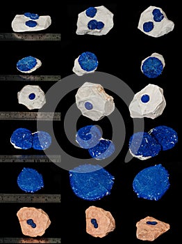 Macro mineral stone Azurite in siltstone against black background