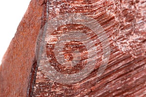 Macro mineral stone Bull eye, tiger`s eye in the breed on a whit