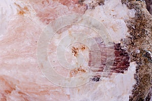 Macro mineral stone Chalcedony on a white background