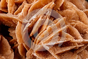 Macro mineral stone desert rose or sand rose on a black background