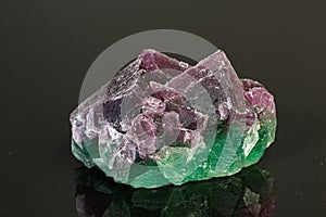 Macro mineral stone green and purple fluorite on a black background