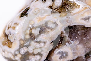 Macro mineral stone Jasper oceanic on a white background