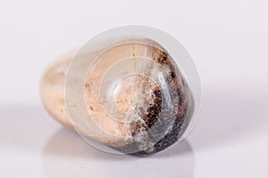 Macro mineral stone jasper on a white background