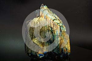 Macro mineral stone labradorite on a black background