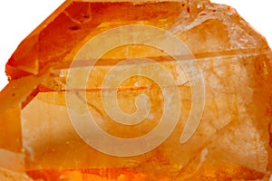 Macro mineral stone Lemurian Crystal a white background