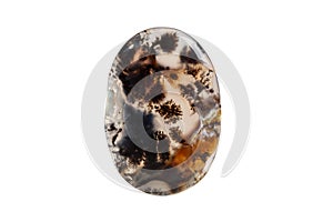 Macro mineral stone Moss Agate, Agata muschiataan white background