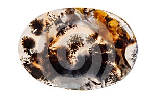 Macro mineral stone Moss Agate, Agata muschiataan white background