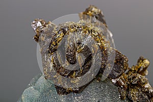 Macro mineral stone Prehnite on Epidote on a gray background