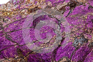 Macro mineral stone purpureus, purple purpurite in the breed a