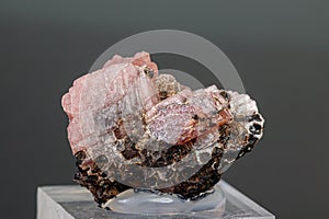 Macro mineral stone Rhodochrosite on a black background