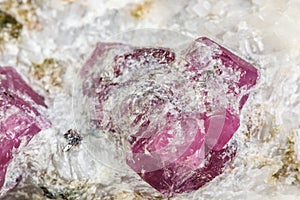 Macro mineral stone Ruby in rock on white background