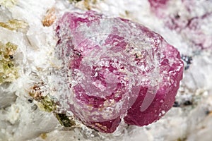 Macro mineral stone Ruby in rock on white background