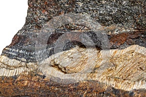 Macro mineral stone Snake eye in the rock a white background