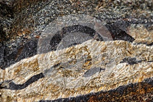 Macro mineral stone Snake eye in the rock a white background