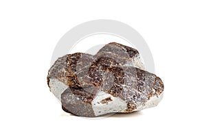 Macro mineral stone Staurolite on a white background