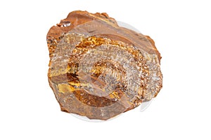 Macro mineral stone Tiger`s eye in the breed on a white backgrou
