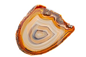 Macro mineral stone Yellow, brown Agate breed a white background