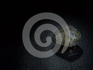 Macro-mineral stonepine close-up