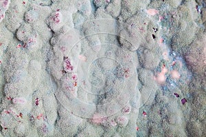 Macro of mold relief