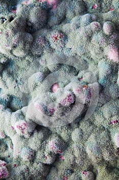 Macro of mold relief