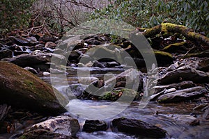 Macro Naturescape of a Small River in Slow Shutter Speed photo