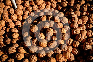 Macro of nutmeat and nuts