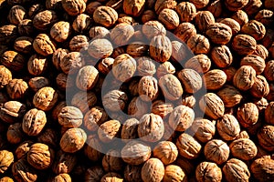 Macro of nutmeat and nuts