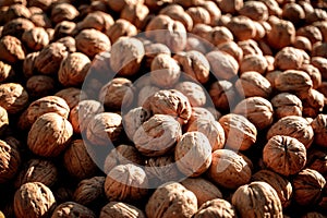 Macro of nutmeat and nuts