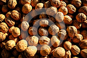 Macro of nutmeat and nuts
