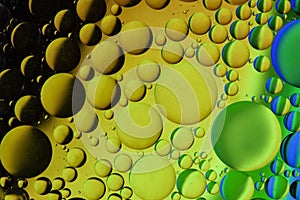 Macro Oil bubbles colourful background