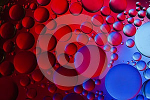 Macro Oil bubbles colourful background