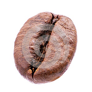 Macro of roasted coffee bean isolated on white background