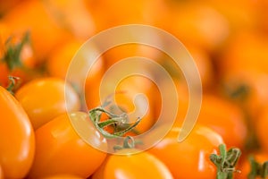 Macro of orange cherry tomatoes