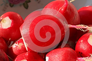 Macro of peeled moist radishes photo