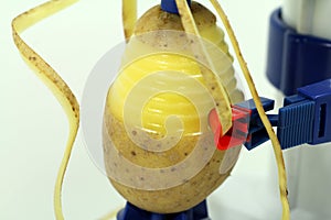 Macro from peeled potatoes