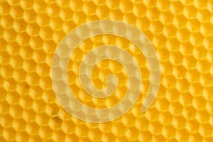 Macro photo abstract background texture of yellow honeycomb wax