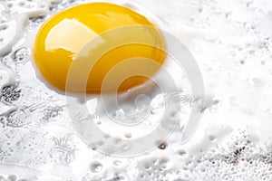 Macro photo background of close-up fried egg