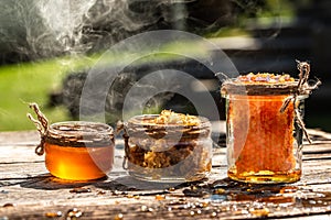 Macro photo of a bee hive on a honeycomb. Bees produce fresh, healthy, honey. Honey background. Beekeeping concept