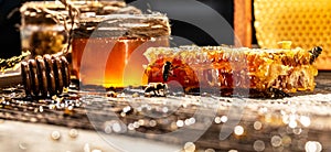 Macro photo of a bee hive on a honeycomb. Bees produce fresh, healthy, honey. Honey background. Beekeeping concept. Long banner