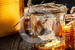 Macro photo of a bee hive on a honeycomb. Bees produce fresh, healthy, honey. Honey background. Beekeeping concept. Long banner