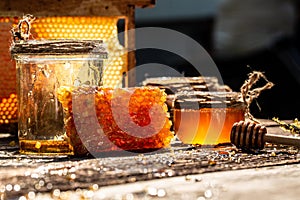 Macro photo of a bee hive on a honeycomb. Bees produce fresh, healthy, honey. Honey background. Beekeeping concept. Long banner