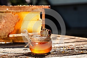 Macro photo of a bee hive on a honeycomb. Bees produce fresh, healthy, honey. Honey background. Beekeeping concept. Long banner