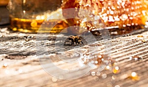 Macro photo of a bee hive on a honeycomb. Sweet honey, pieces of combs and honey dipper