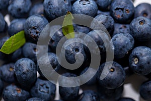 Macro photo of blueberries with selective focus, close-up