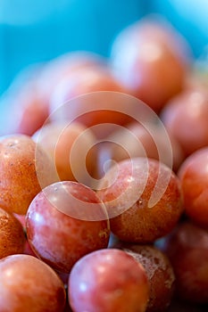 Macro Photo of a bunch of Red Grapes