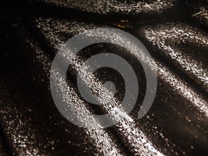 Macro photo of a butterfly wing