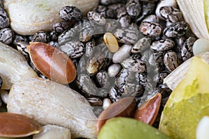 macro photo of chia seeds
