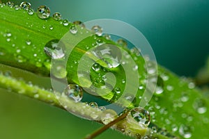 A macro photo of a clear drop of fresh water on a single blade of vibrant green grass