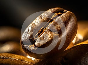 Macro photo of a coffee bean