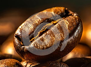 Macro photo of a coffee bean